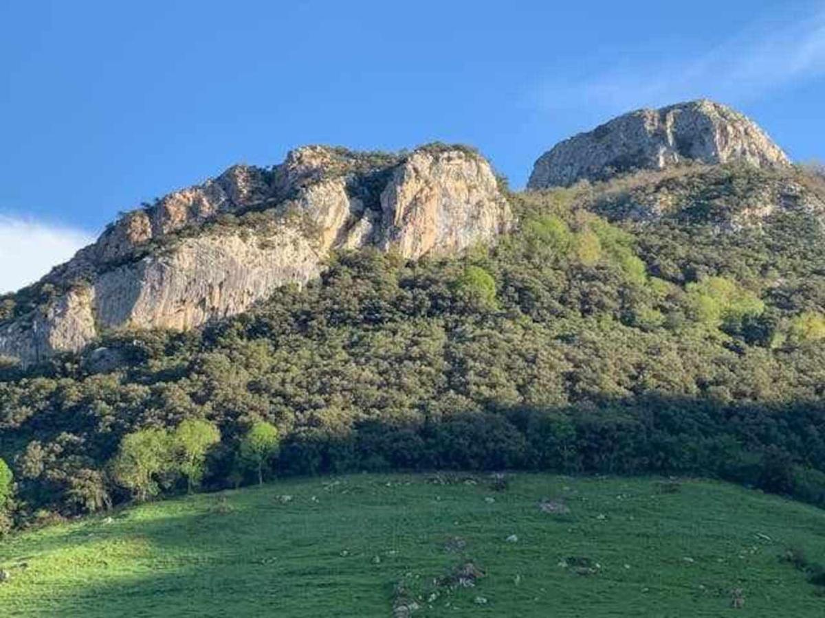 Cumbres De Los Picos Apartamento Los Abedules Poo  Kültér fotó